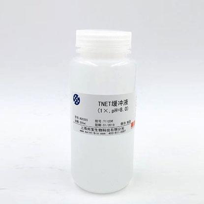 Tris鎂鹽緩沖液（1×，pH=7.8）