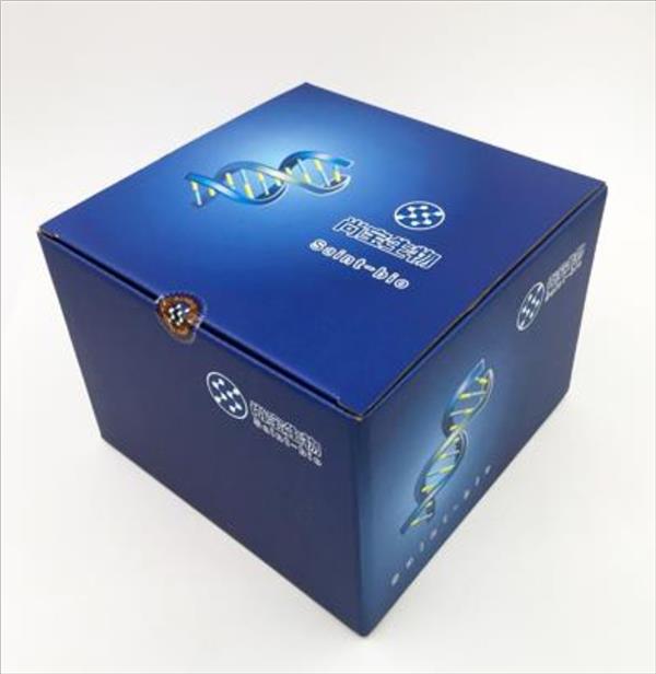 BCIP/NBT顯色試劑盒
